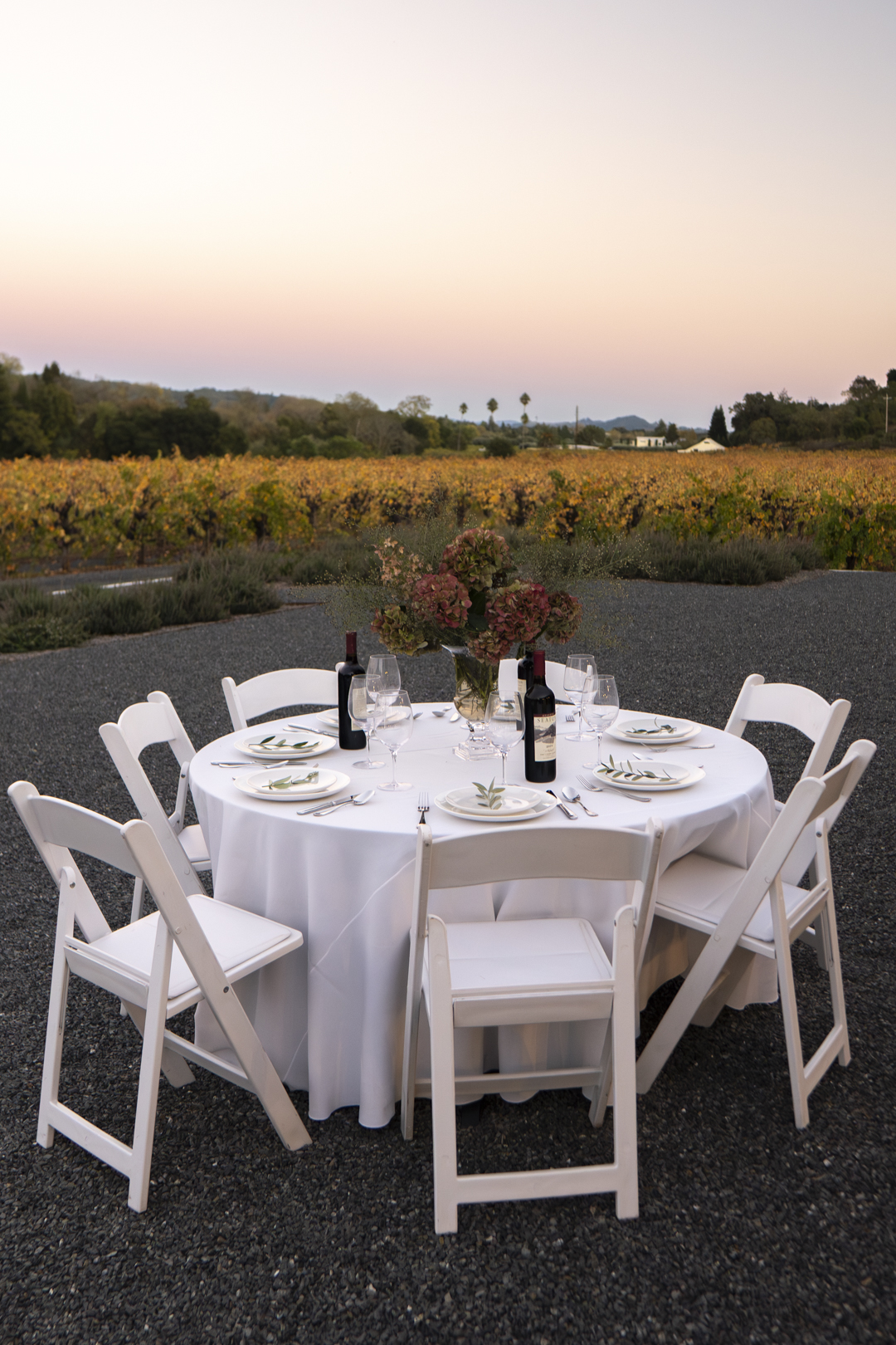 Seaton_Vineyard_Events-17