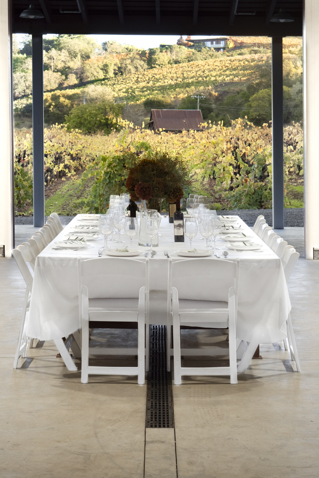 Seaton_Vineyard_Events-3